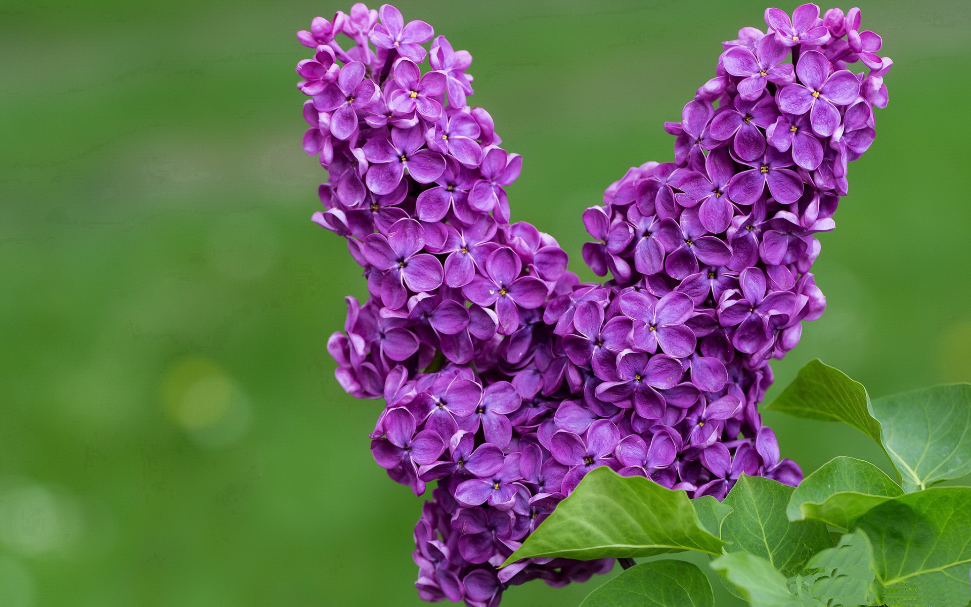 “神奇逆转:球队在最后几秒里的奇迹”,足球最神奇逆转