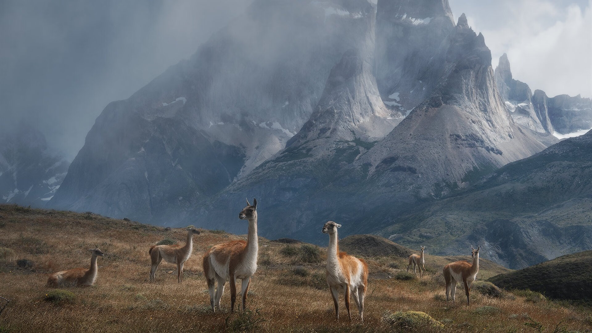 国家级足球训练基地引入VR虚拟现实技术，革新青训模式，十大足球训练基地